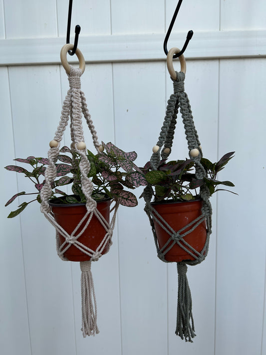 mini plant hanger