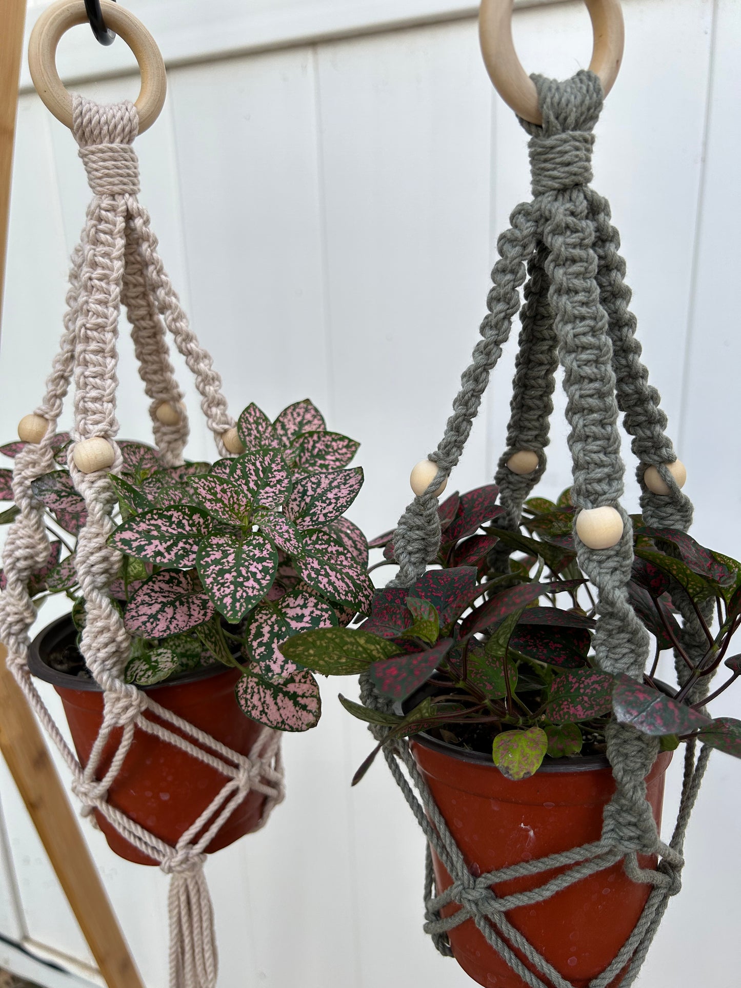 mini plant hanger